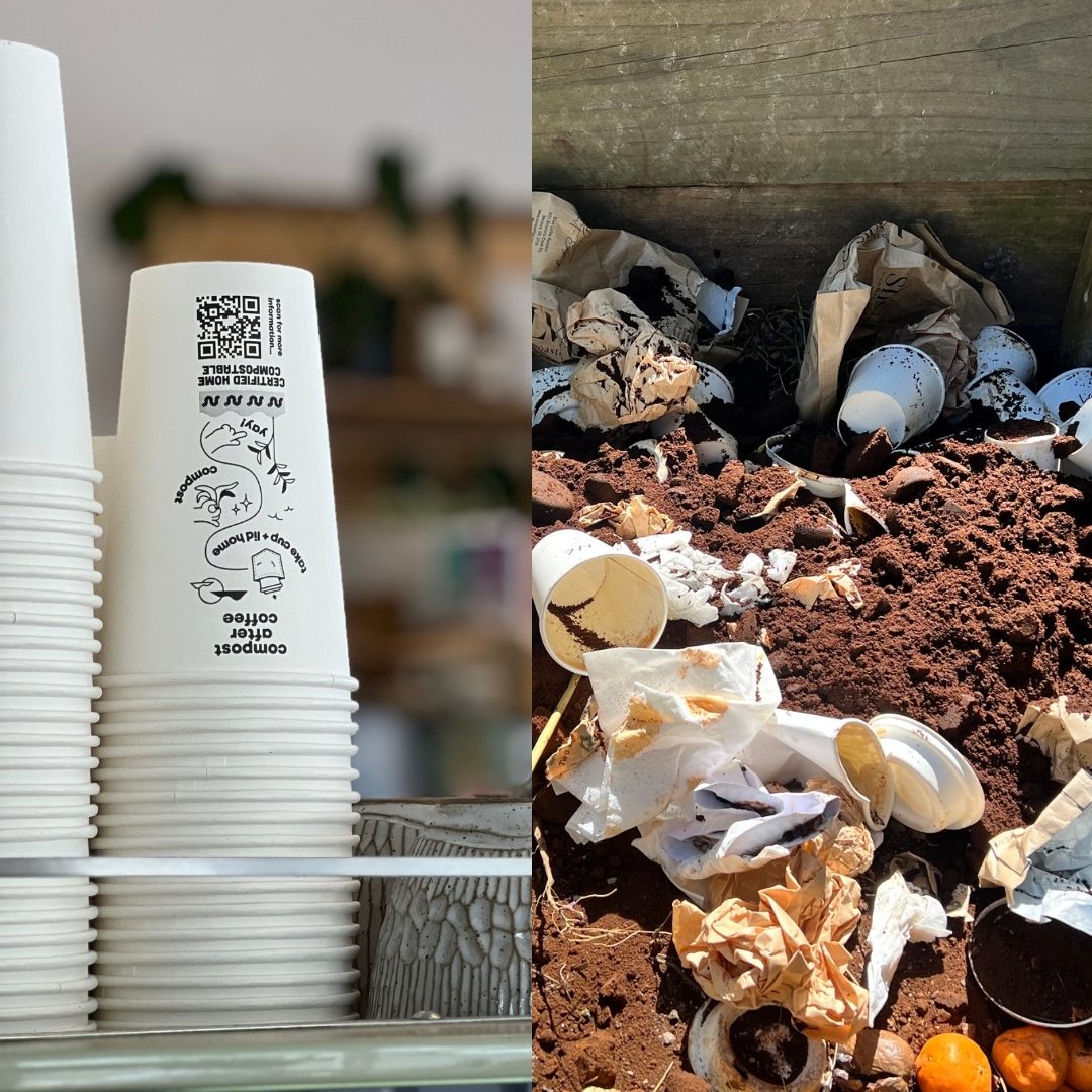 8-16oz Home Compostable Disposable Coffee Cups 90mm - Image 5