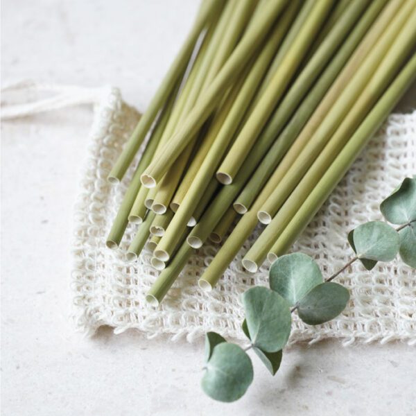 biodegradable straws