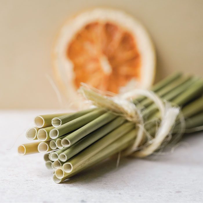 compostability-grass-drinking-straw-plant