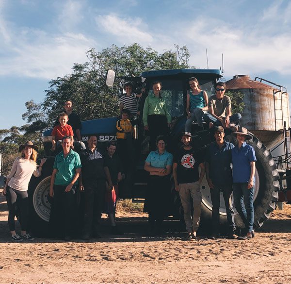 Mister rye straws farmers in South Australia