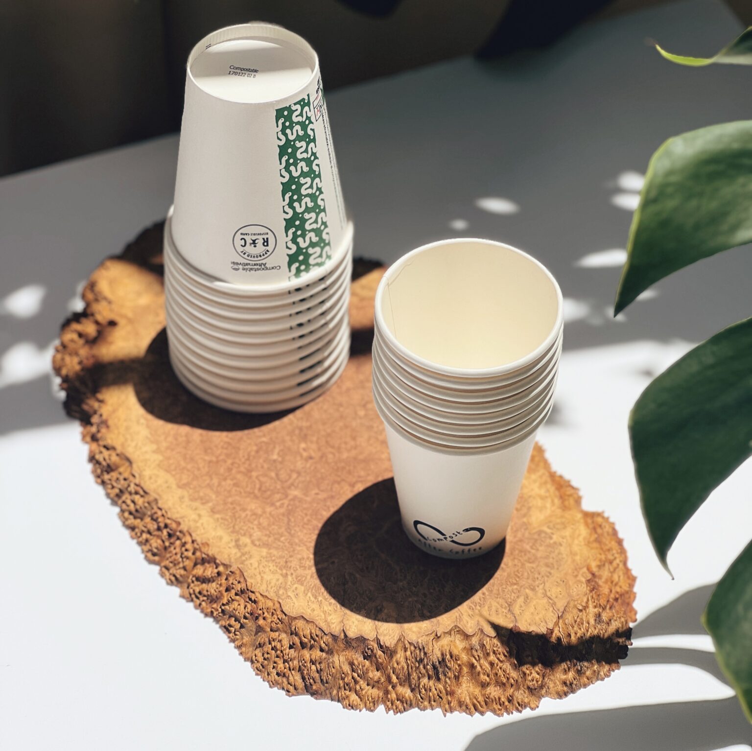 Disposable Coffee Cup Certified Home Compostable 1