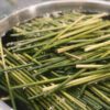 grass-straw