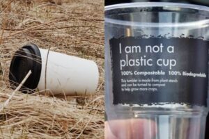 home vs compostable packaging new source of pollution