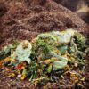 Home Compostable Bin Liners - Image 5