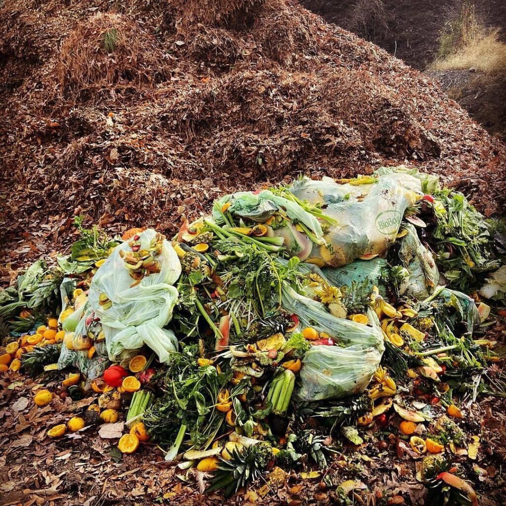 100 Certified Home Compostable Bin Liners