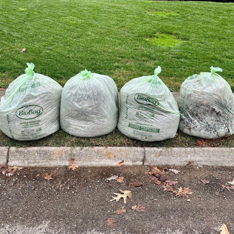 100 Certified Home Compostable Bin Liners