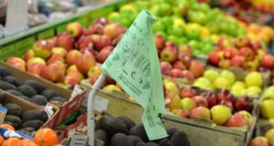 the most sustainable bin liner