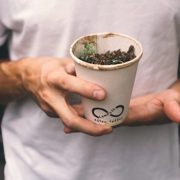 home compostable coffee cup