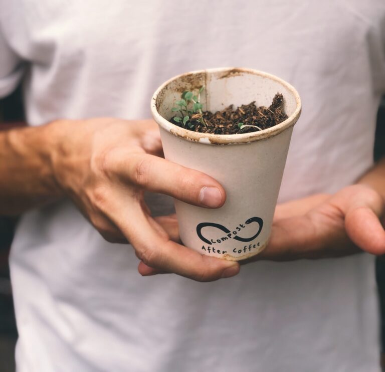 home compostable coffee cup