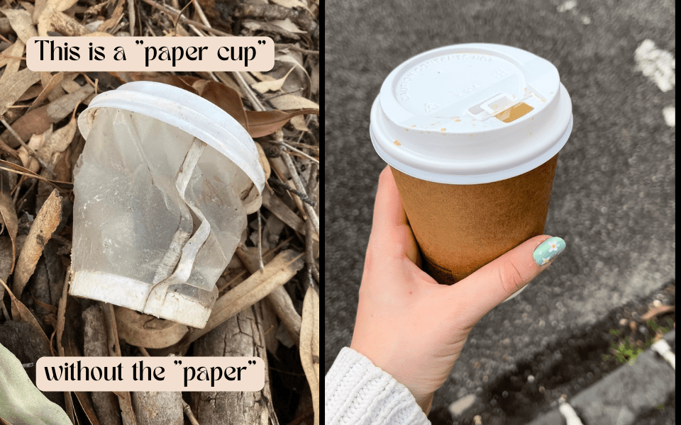 Coffee Cups Greenwashing in Australia A 2024 Guide for Coffee