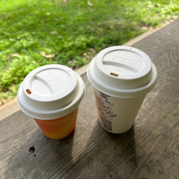 2bagasse lid 90mm AS5810