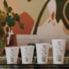 Sample Box Cups & Lids - Image 3