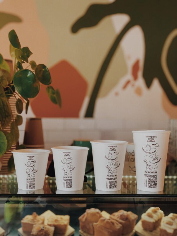Sample Box Cups & Lids - Image 3