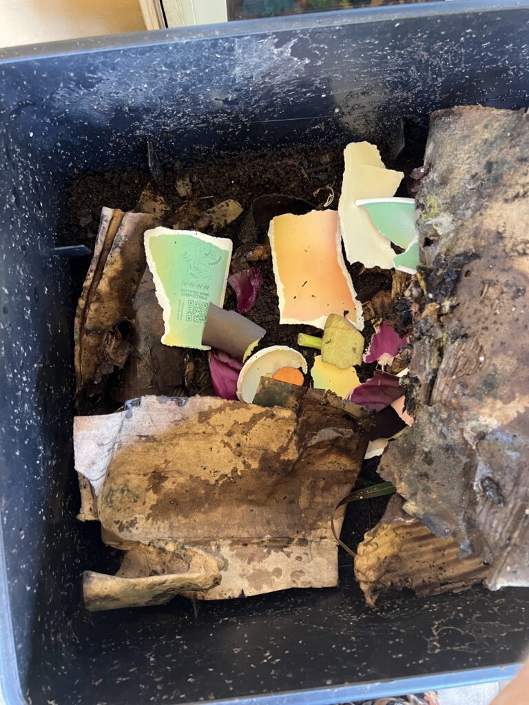 compostable alternatives cup in worm farm