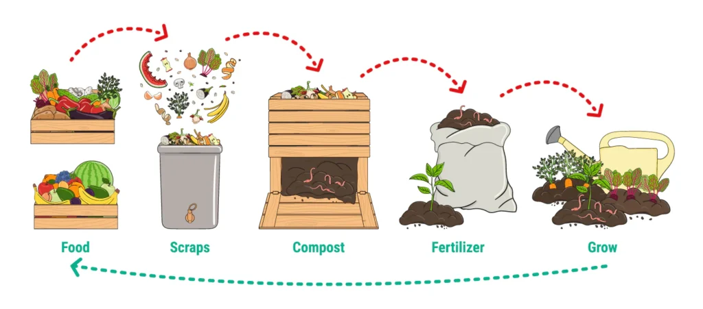composting infographic.jpg