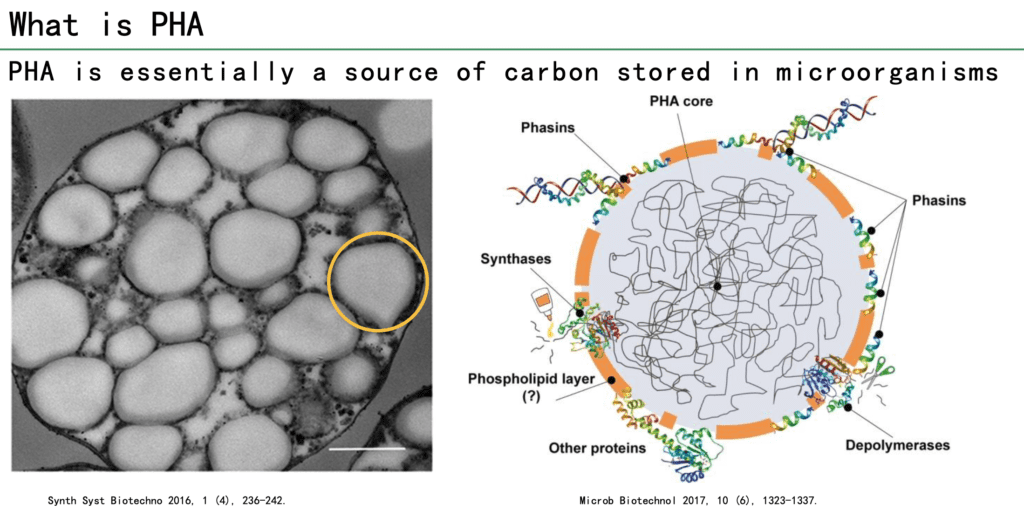 Screenshot 2026 04 08 at 4.40.54 pm