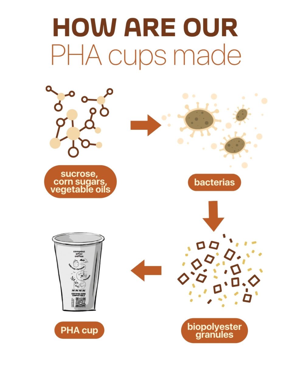 PHA cups Compostable Alt