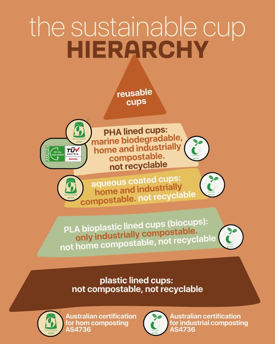 suscuphierarchy scaled